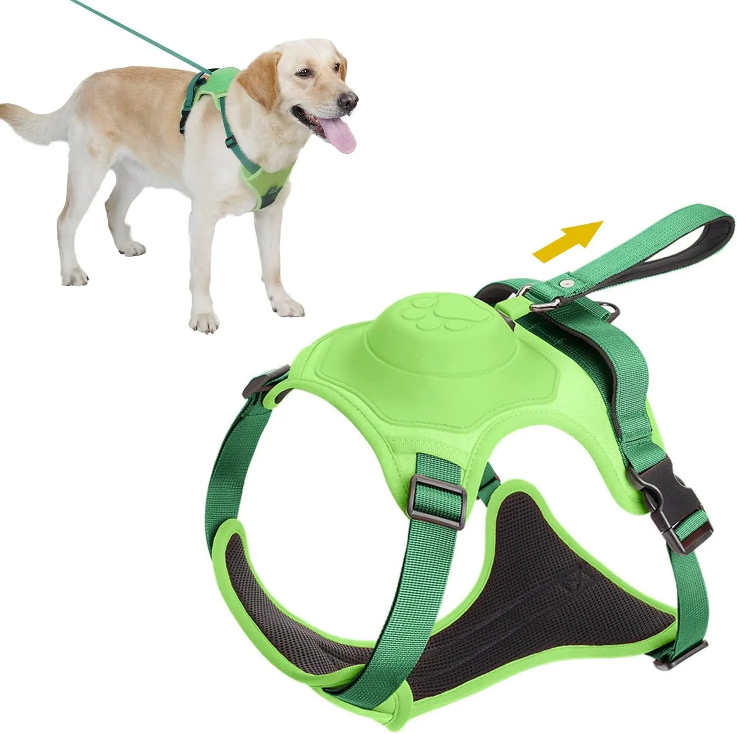 Complete dog walking harness and leash set