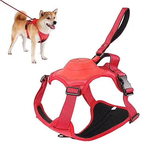 Adjustable dog harness with auto leash