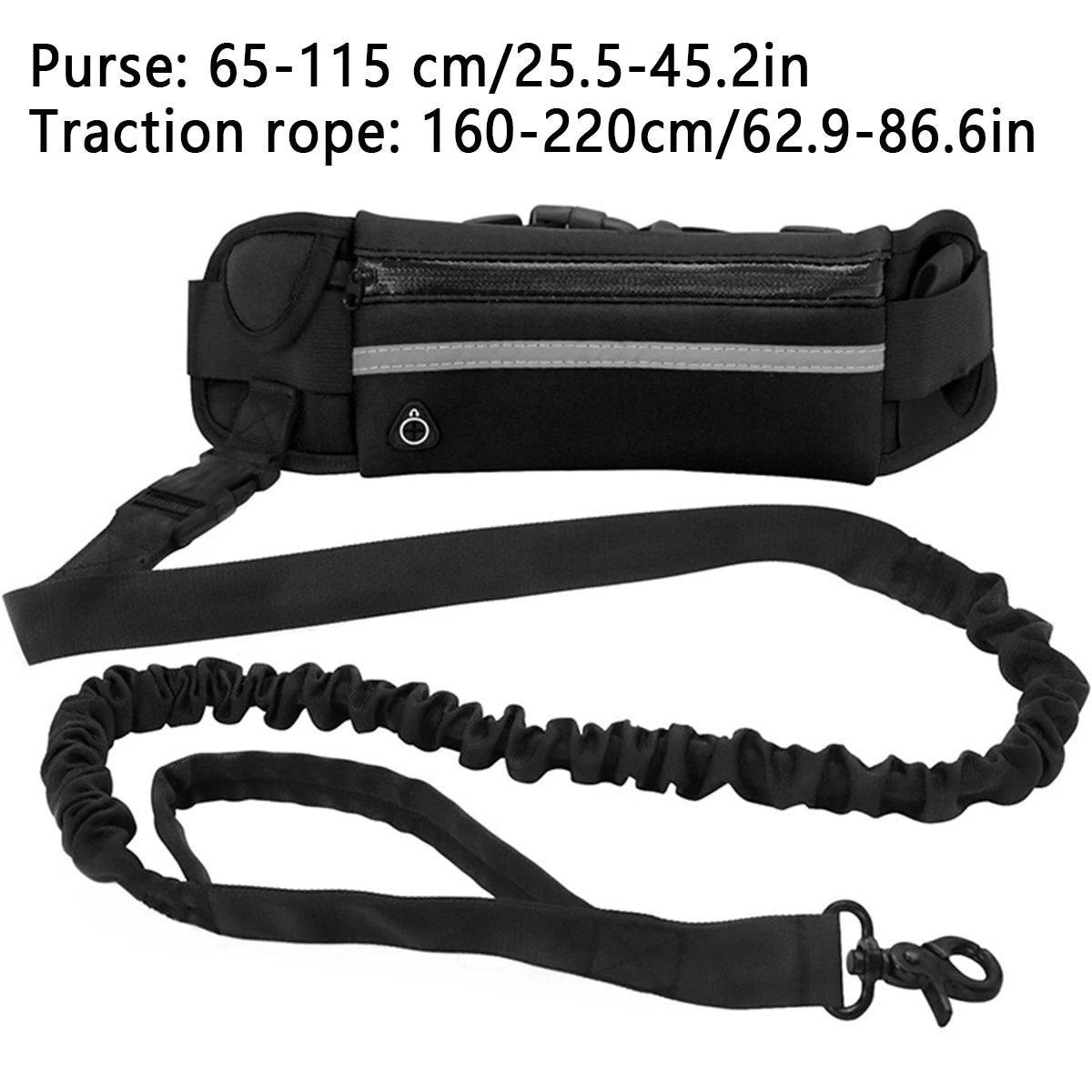 Bungee hands-free dog leash for running