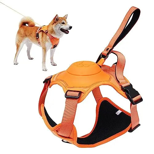 Durable dog walking harness and leash set