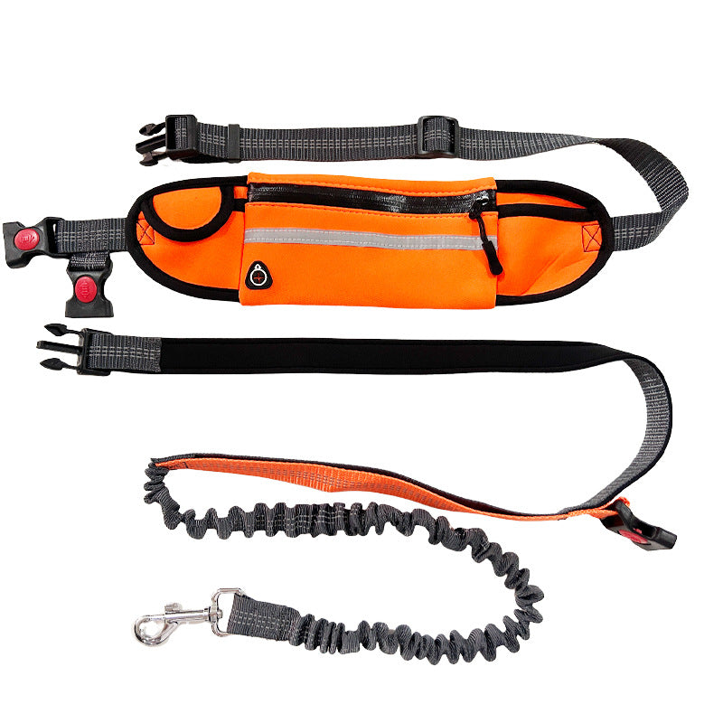 Hands-free bungee leash for all dog sizes