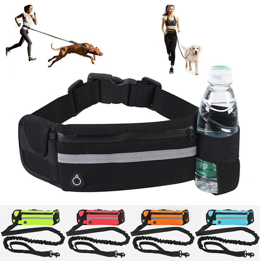 Hands free dog leash with padded waistband