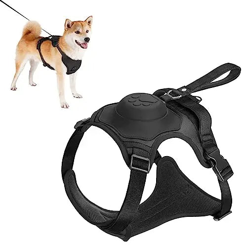 No-pull harness with retractable lead